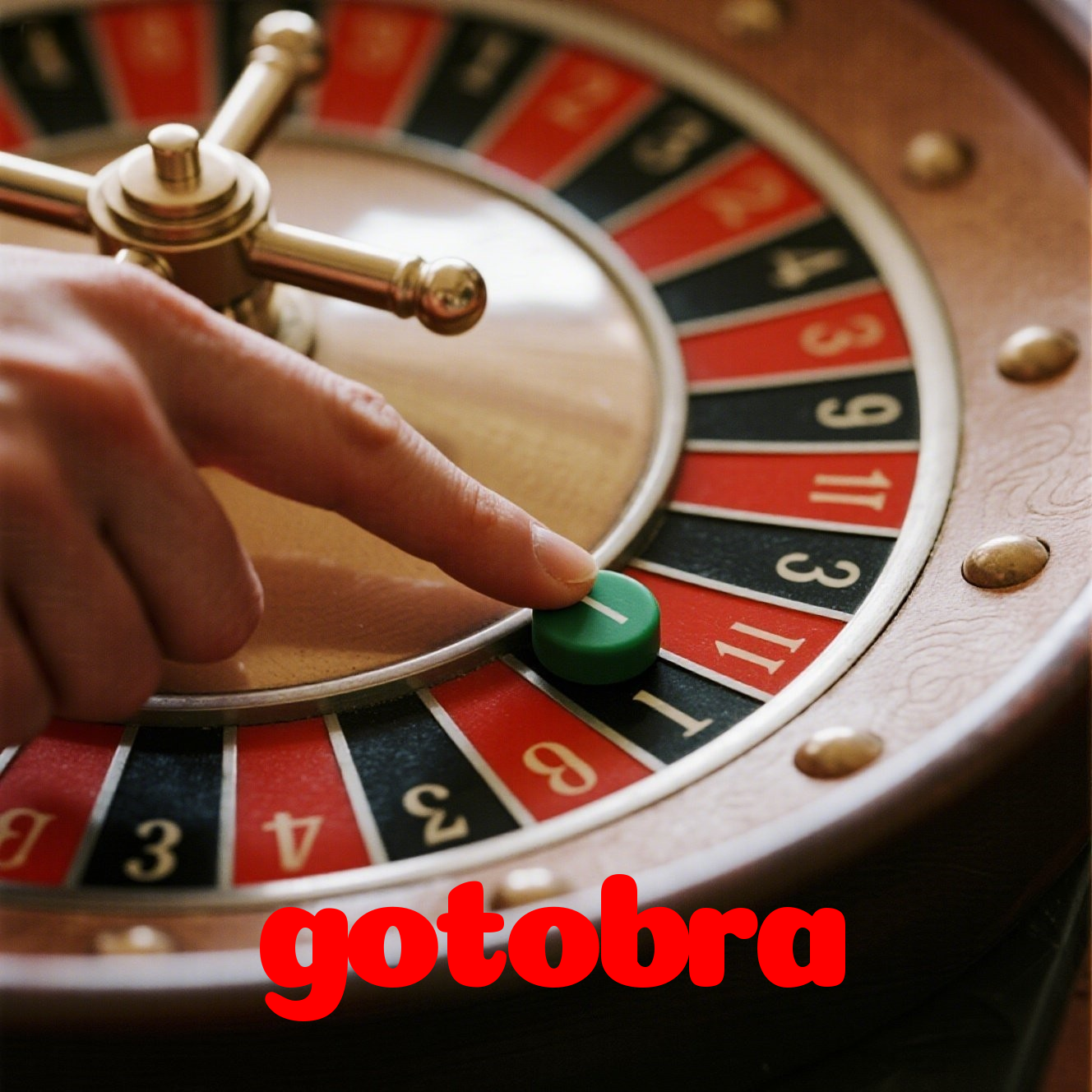 Login no gotobra